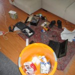 environment1